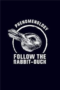Phenomenology - Follow the Rabbit-Duck