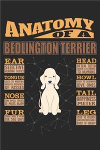 Anatomy Of A Bedlington Terrier
