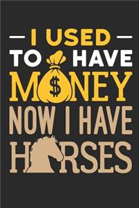 I Used To Have Money Now I Have Horses