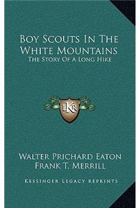 Boy Scouts In The White Mountains