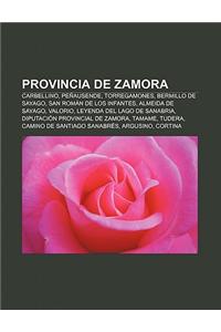 Provincia de Zamora