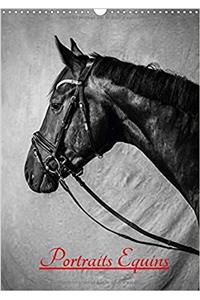 Portraits Equins 2017