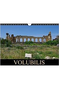 Volubilis 2018