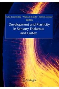 Development and Plasticity in Sensory Thalamus and Cortex