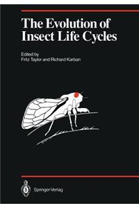 Evolution of Insect Life Cycles