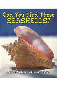Can You Find These Seashells?