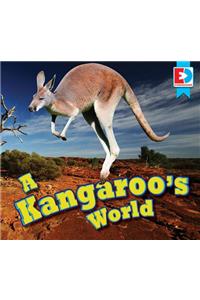 Kangaroo's World