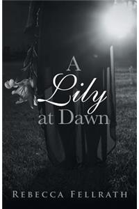 A Lily at Dawn