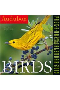 Audubon Birds Page-A-Day Calendar 2019