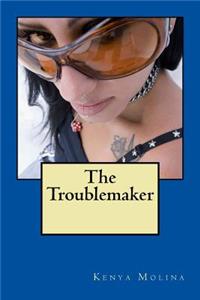 Troublemaker