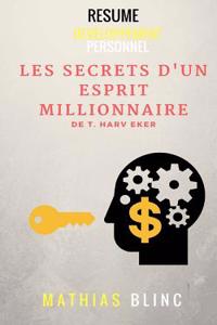 Les Secrets D'Un Esprit Millionnaire (Resume)