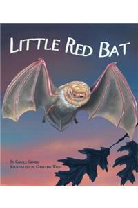 Little Red Bat