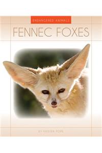 Fennec Foxes