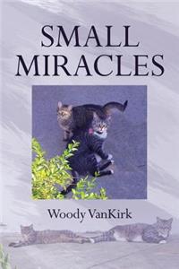 Small Miracles
