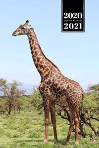 Giraffe Safari Week Planner Weekly Organizer Calendar 2020 / 2021 - Enjoying the View