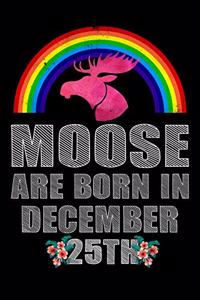 Moose Are Born In December 25th