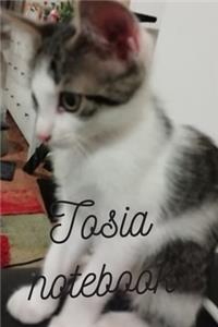 Tosia notebook