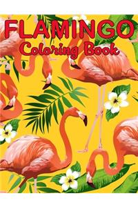 Flamingo Coloring Book