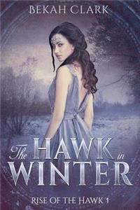 Hawk in Winter
