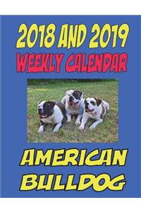 2018 and 2019 Weekly Calendar American Bulldog