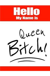 Hello My Name Is Queen Bitch!: Funny Phrase Discreet Internet Website Password Organizer Book