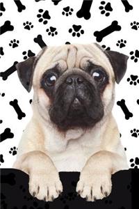 Dog Lover