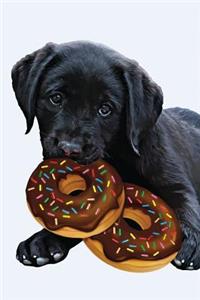 Black Lab Puppy Journal