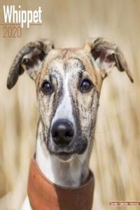 Whippet Calendar 2020
