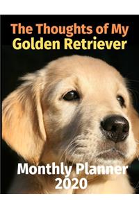The Thoughts of My Golden Retriever
