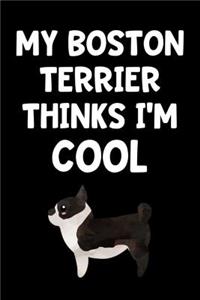 My Boston Terrier Thinks I'm Cool
