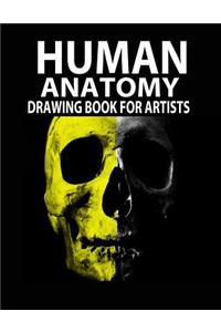Human Anatomy Drawing Book for Artists