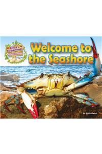 Welcome to the Seashore