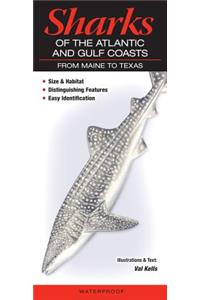 Sharks of the Atlantic and Gulf Coasts