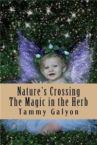 Nature's Crossing The Magic in the Herb