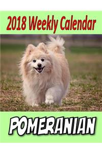 2018 Weekly Calendar Pomeranian