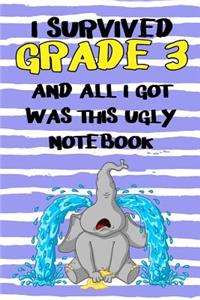 I Survived Grade 3 And All I Got Was This Ugly Notebook.