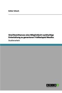 Sind Remittances eine Möglichkeit nachhaltige Entwicklung zu generieren? Fallbeispiel Mexiko
