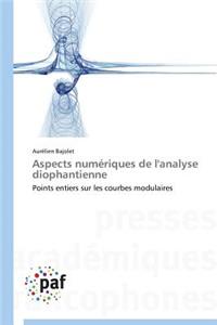 Aspects Numériques de l'Analyse Diophantienne