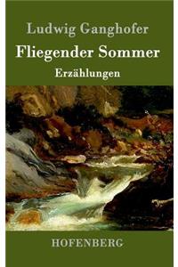 Fliegender Sommer