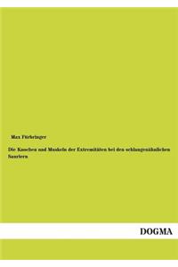 Knochen und Muskeln der Extremitäten bei den schlangenähnlichen Sauriern