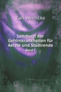 Lehrbuch der Gehirnkrankheiten fur Aerzte und Studirende