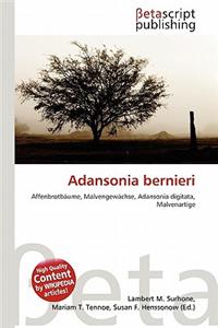 Adansonia Bernieri