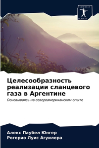 Целесообразность реализации сланцевого &