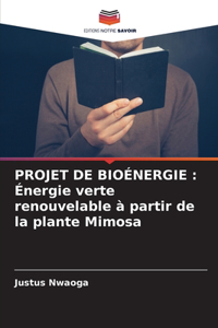 Projet de Bioénergie