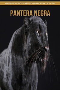 Pantera negra