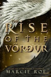 The Rise of the Vörður