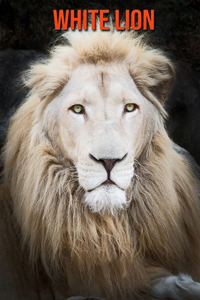 White Lion: Beautiful Pictures & Interesting Facts Children Book About White Lion