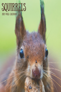 Squirrels 2021 Wall Calendar