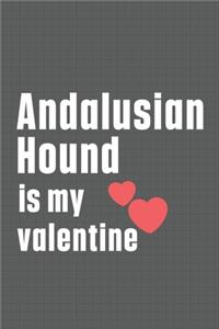 Andalusian Hound is my valentine
