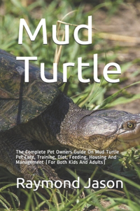 Mud Turtle
